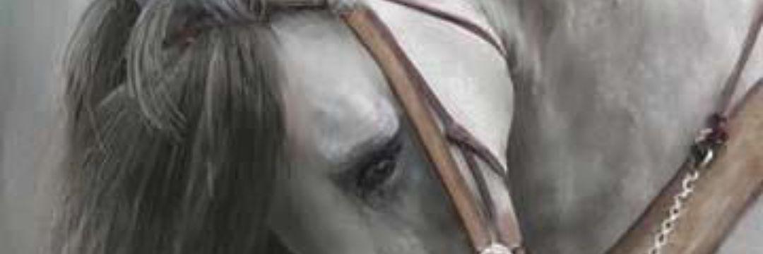 Alawatef's profile banner image