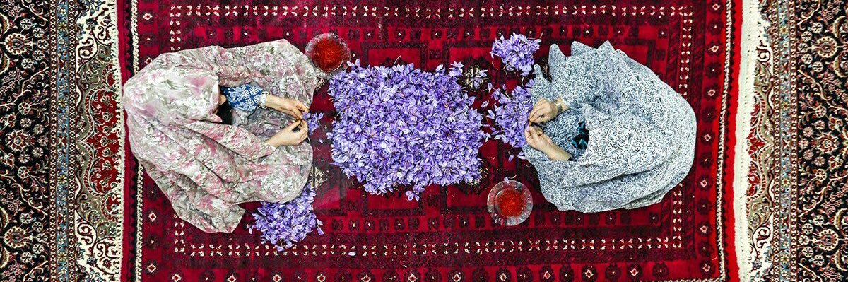 _zin3's profile banner image