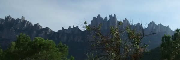 joansedeno Profile Banner