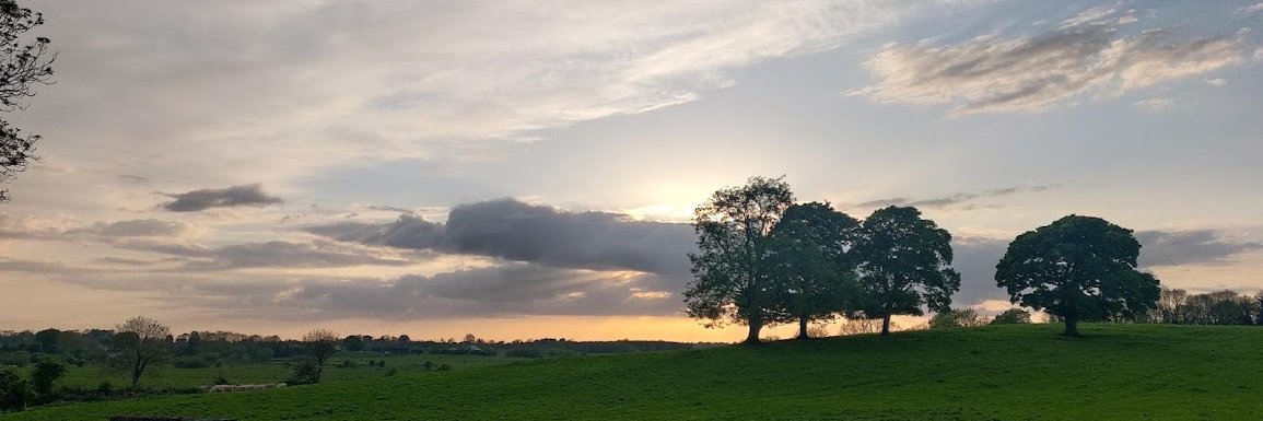 Ciarán O'Connor banner