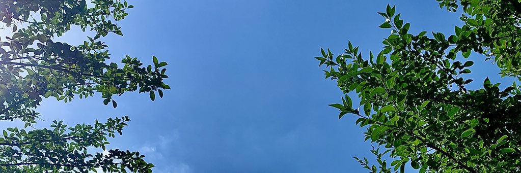 hapizzza's profile banner image