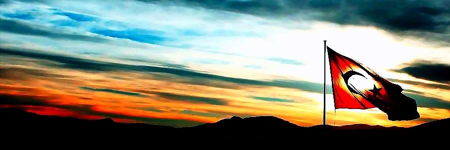 aydnarat's profile banner image