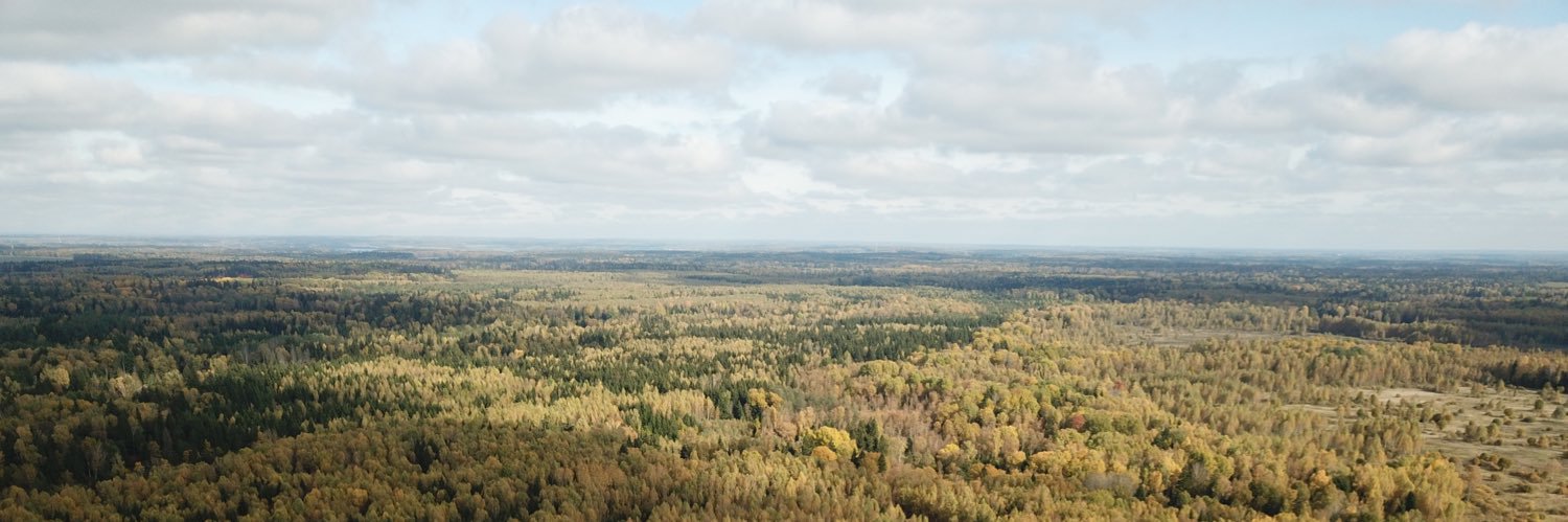 Ереванский Лесной banner