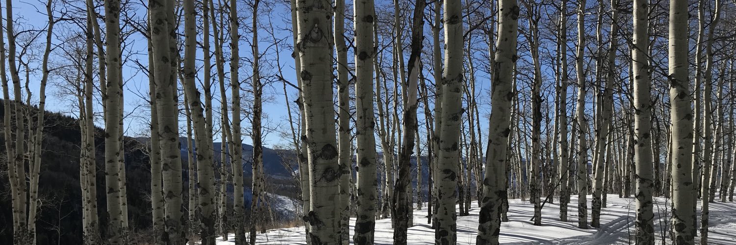 Sarah T. Fischell banner