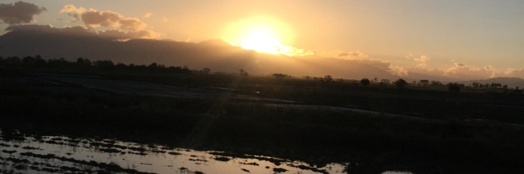 jcSallan's profile banner image