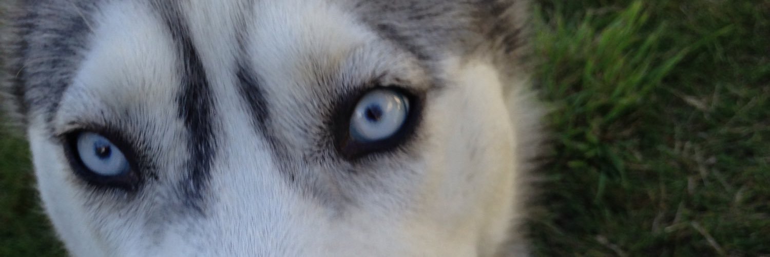 evaggn_'s profile banner image