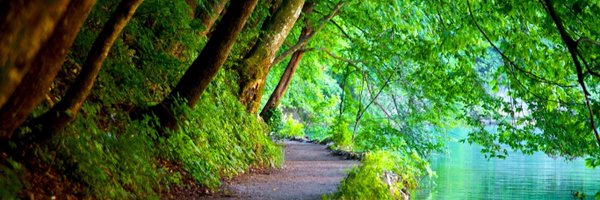 Greg_Merkel Profile Banner