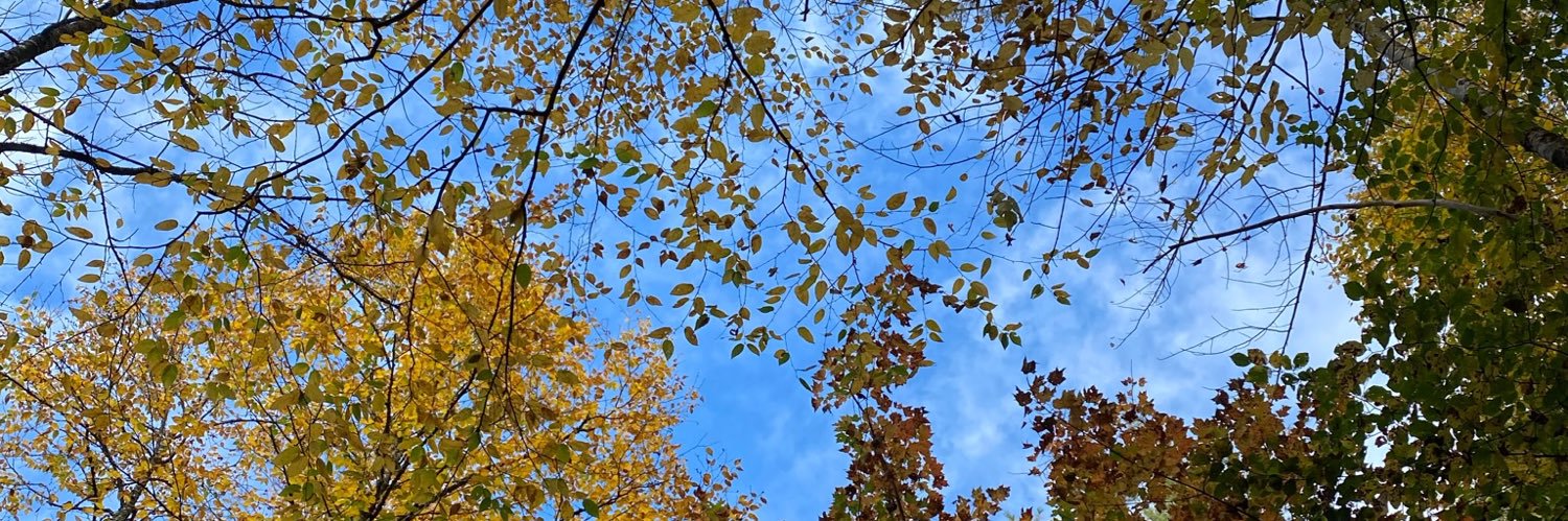 riverratbrock's profile banner image