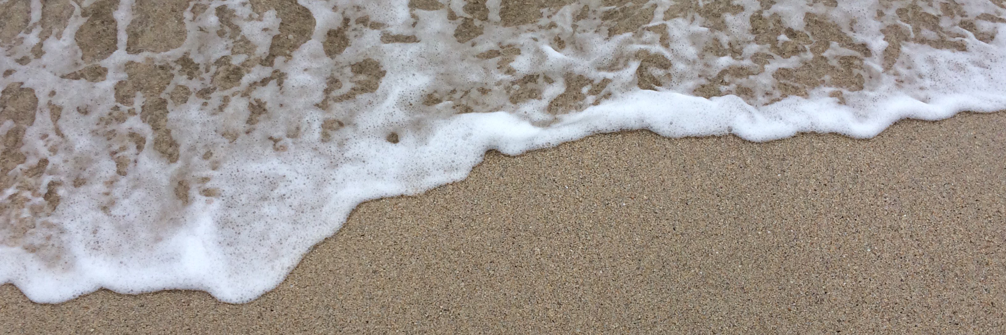 Bryony Padwick banner