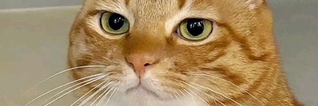 LOLZ811_'s profile banner image