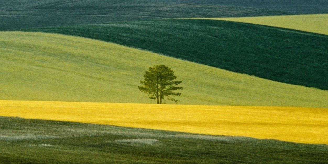 Basilicata Vera banner