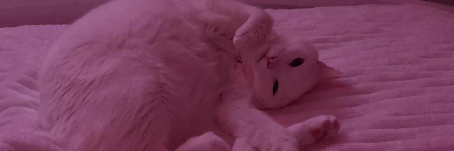 skylerfreshhel's profile banner image
