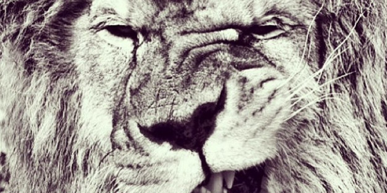 MeleySIE's profile banner image