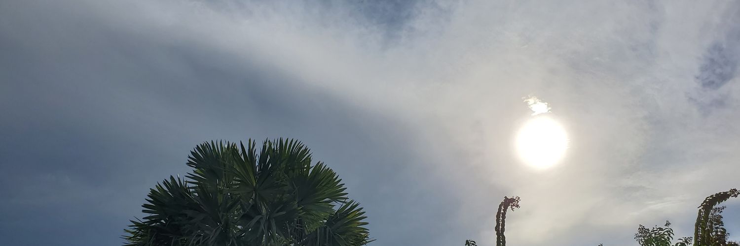 Amie banner