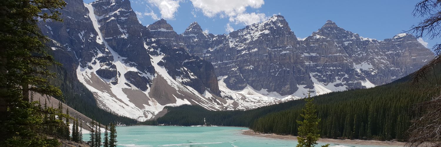 Nigel Greaves banner