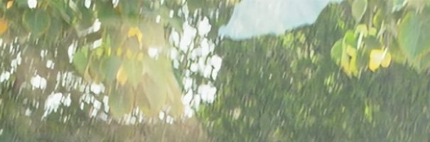 blindpol's profile banner image