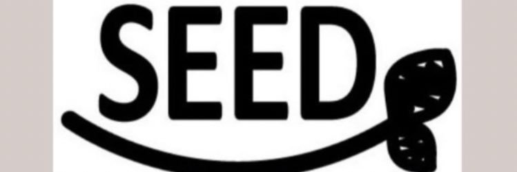 seed_aidai's profile banner image