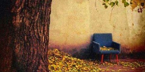 silvi1902's profile banner image