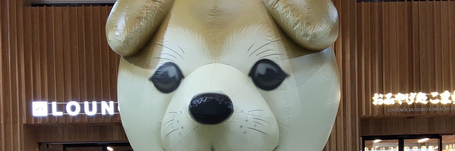 koro313's profile banner image