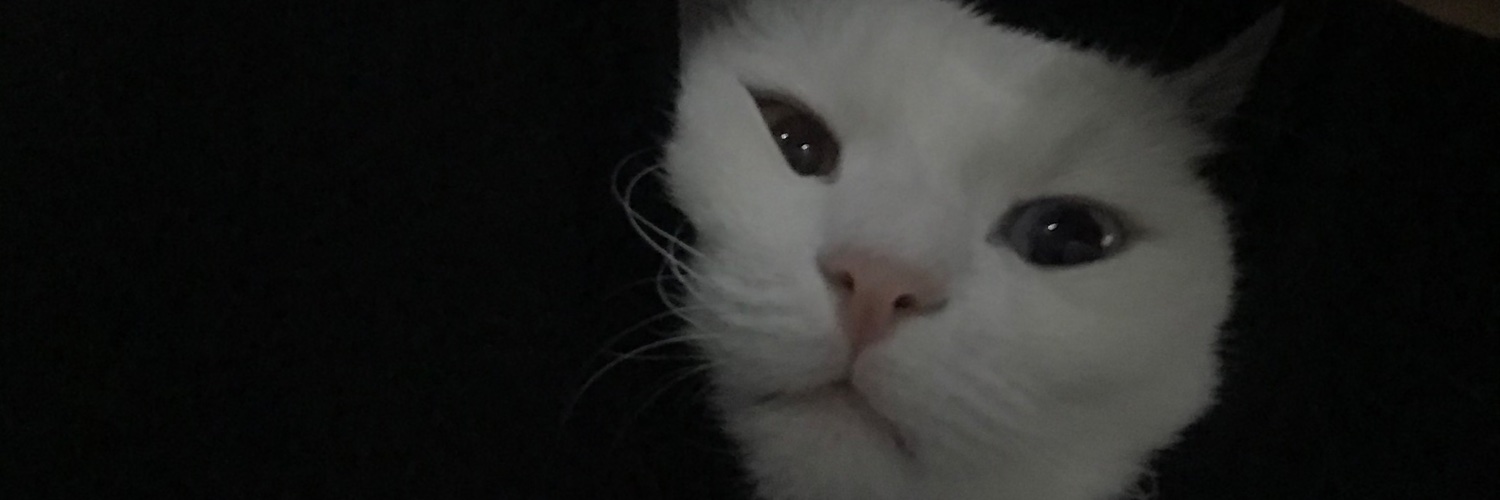 huudomb's profile banner image
