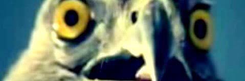 joko_SS_SS's profile banner image