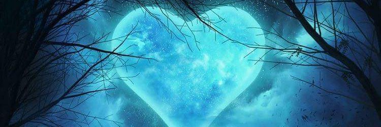 Larrey_62226's profile banner image