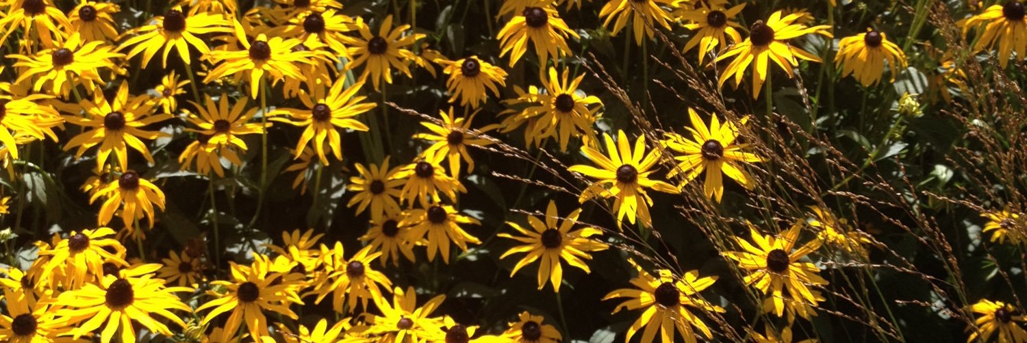 LindaFieldRN's profile banner image