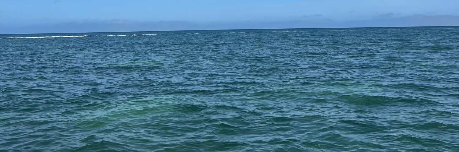 gabbihol11's profile banner image