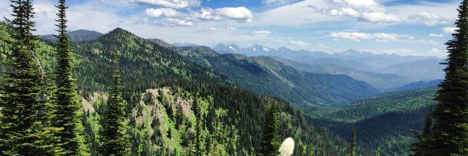 DrMarkAdams's profile banner image