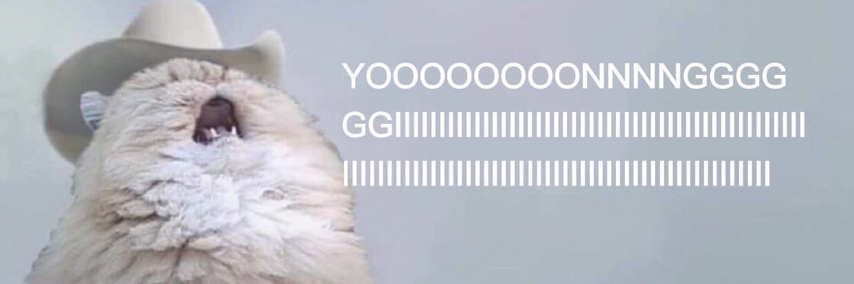 vecchieliza's profile banner image