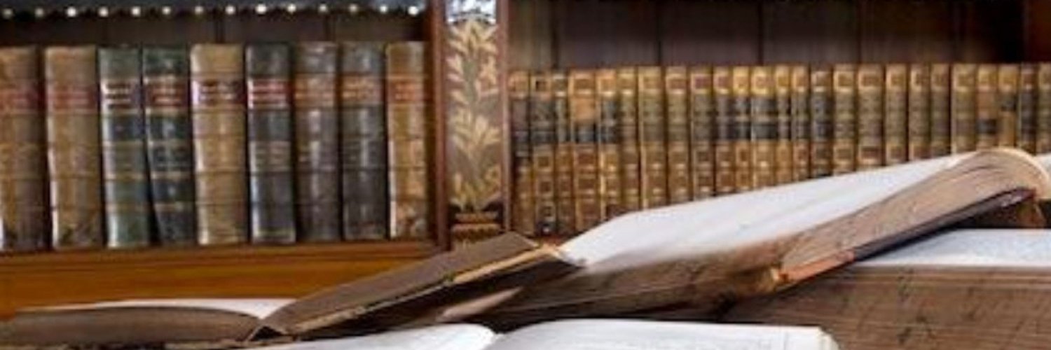 Elizabeth A. White 📚⚖️♟️ banner