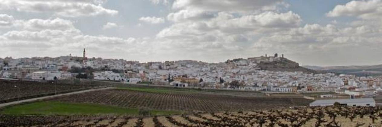 carmensot's profile banner image