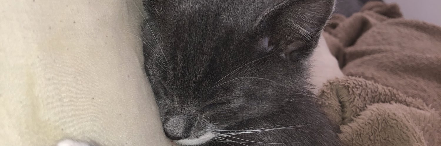 KynnedyW's profile banner image