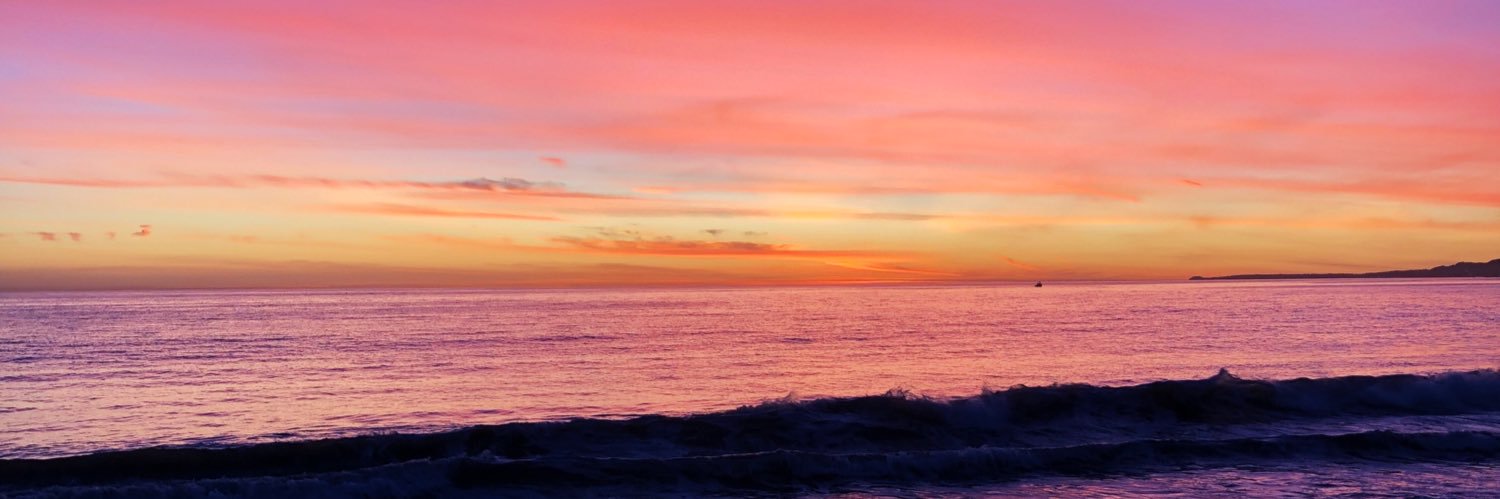 morgannelson98's profile banner image