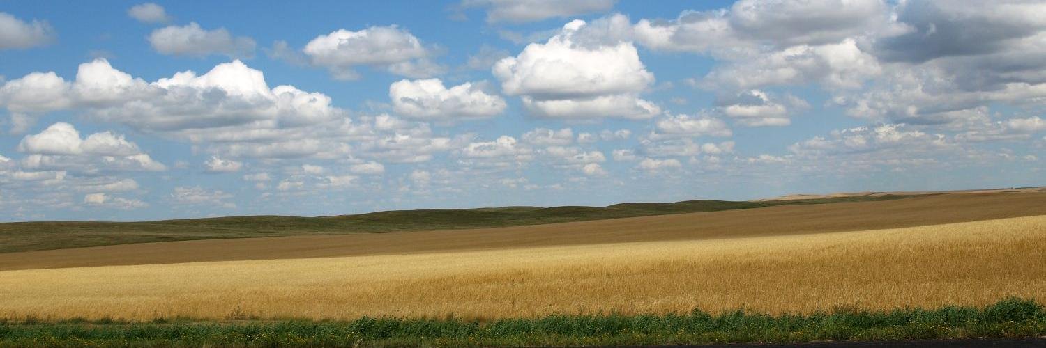 dmathern's profile banner image