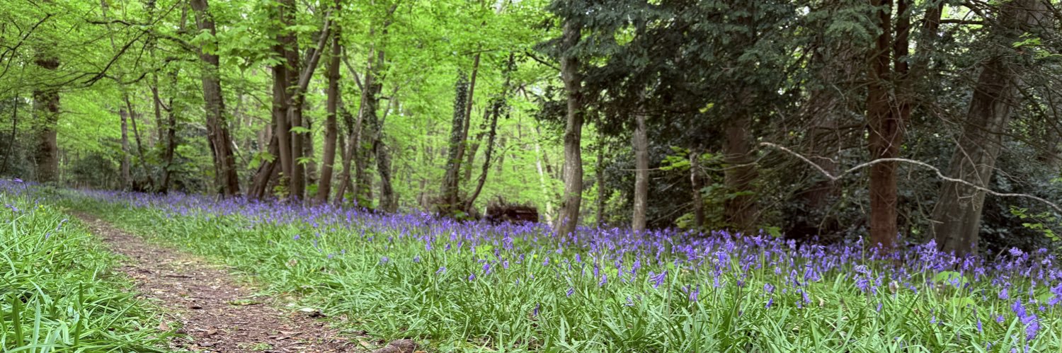 sarah rix 🦋🐸🌳🐾🌻 banner