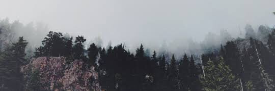 MATCHADOLAN's profile banner image