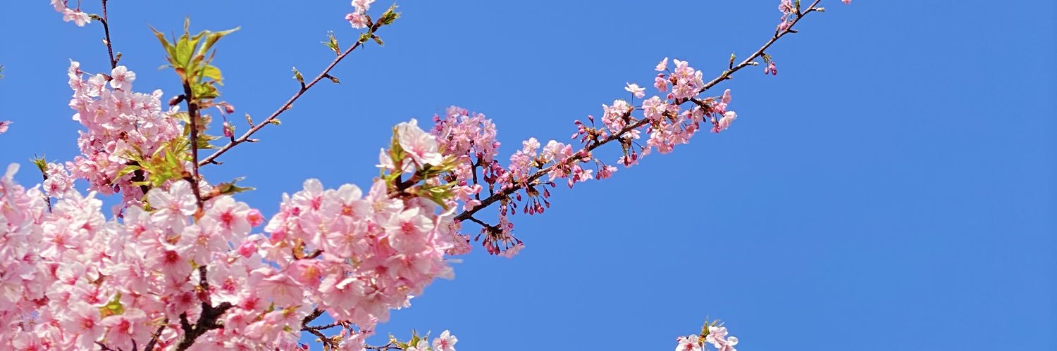 hakusui1208's profile banner image