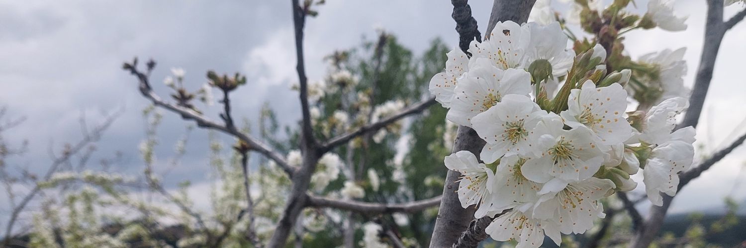 goDesndjdj's profile banner image