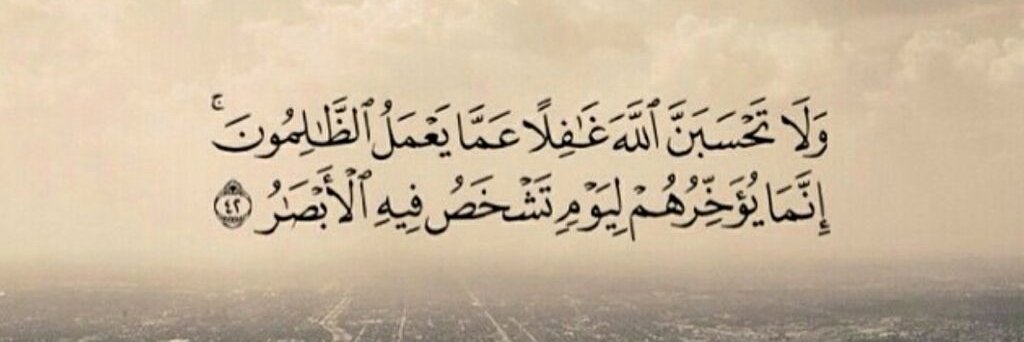 amin71m's profile banner image