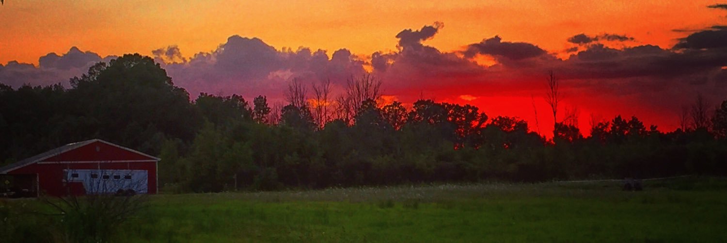 ecarlson08's profile banner image