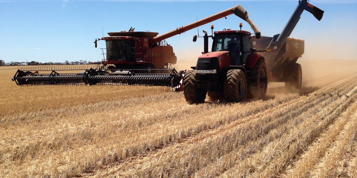 Gavin Howley 🦖 banner