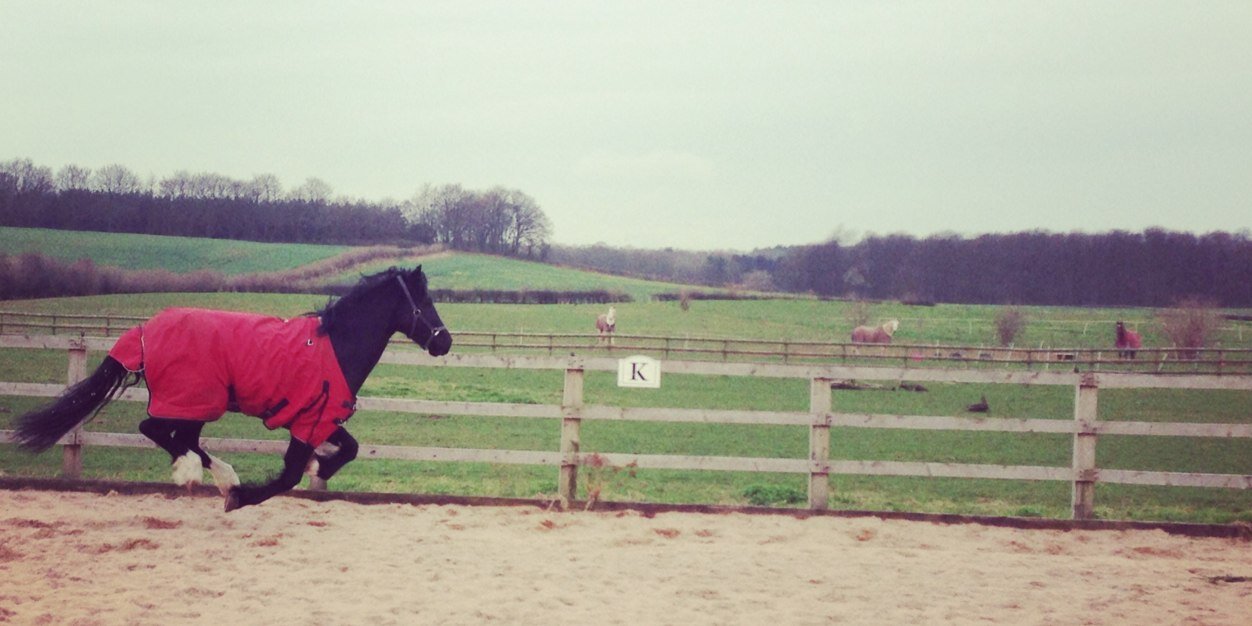 Dr Lucy Broadhurst banner