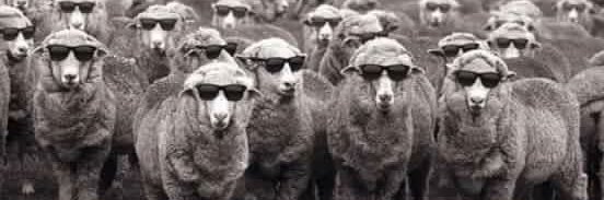 JManglano🦇 banner