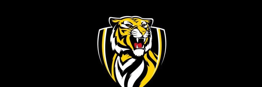 neiltiger1's profile banner image