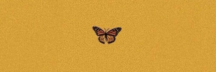 GabiL_SCCP's profile banner image