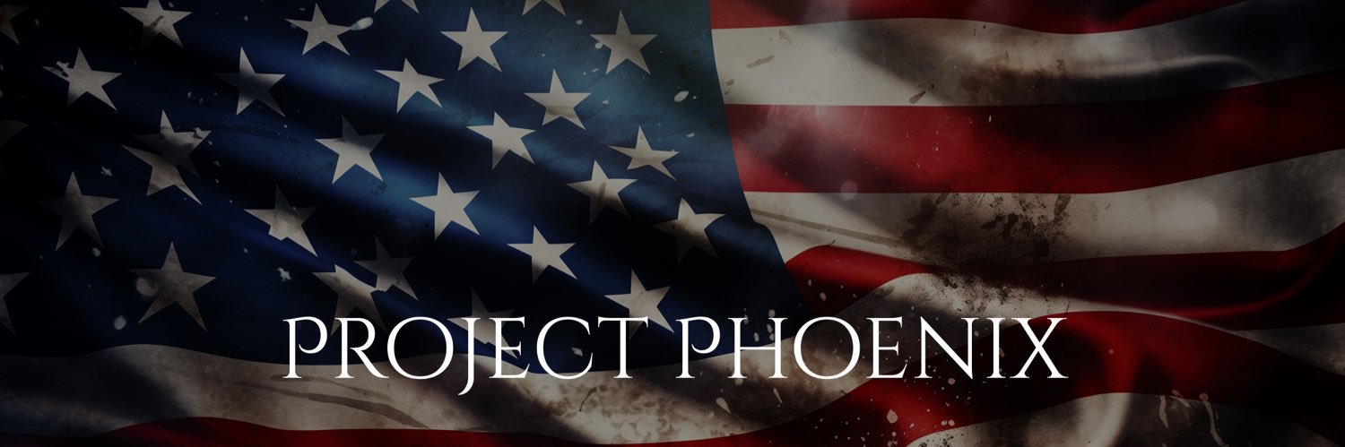 prjct_phoenix's profile banner image