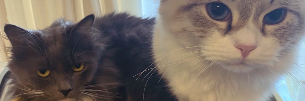 ハレっち banner