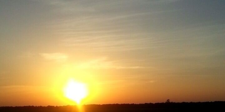 Jessaflowersss's profile banner image