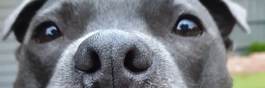 myJesusarc's profile banner image